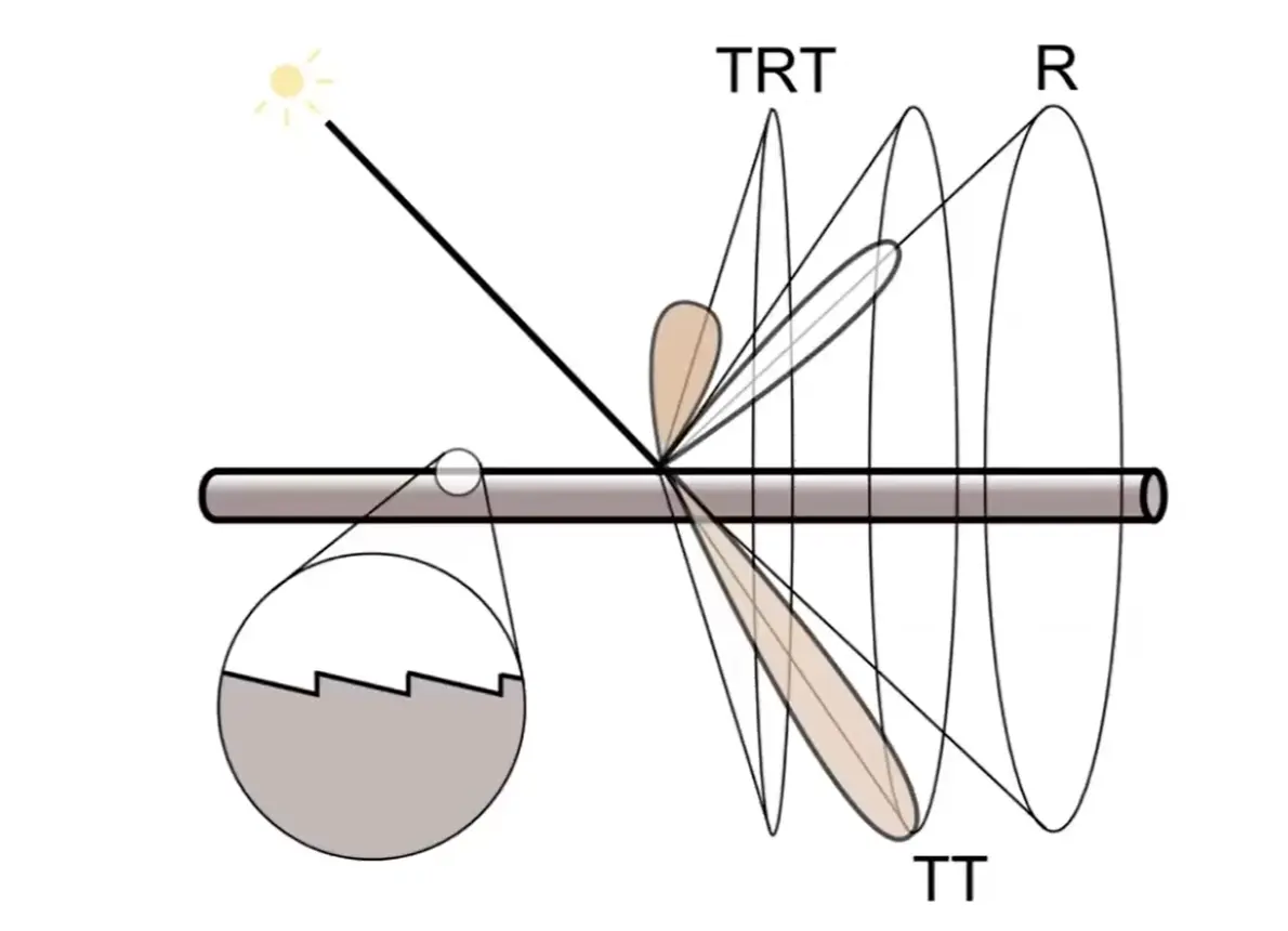 500x361