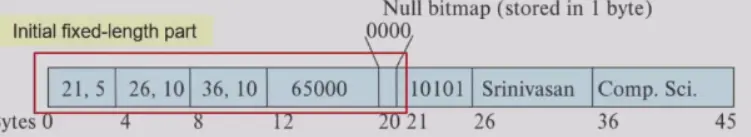 IMG-DB 13 Data Storage Structures-20250415134601636.webp