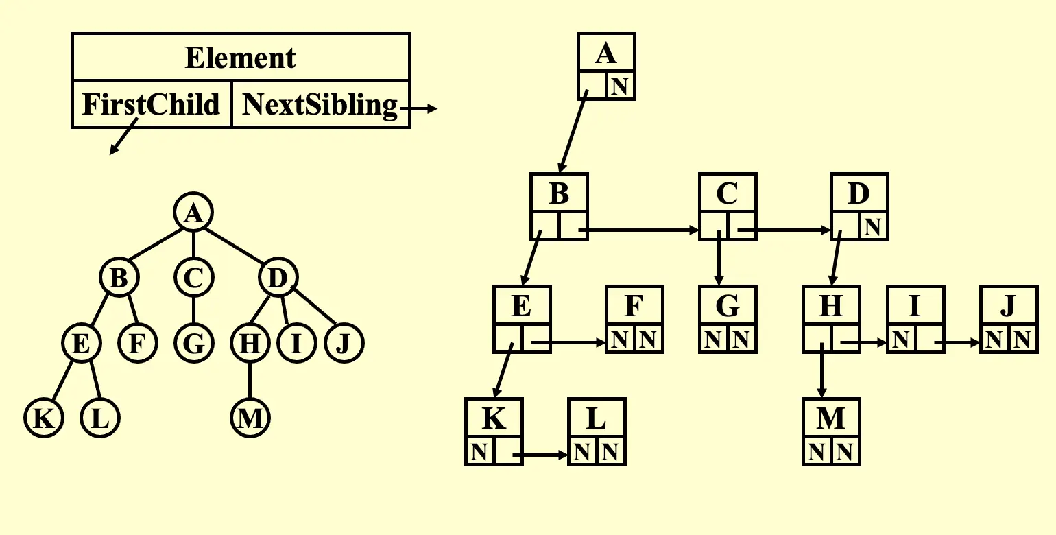 __assets/Ch.04 Trees/IMG-Ch.04 Trees-20250125004334370.webp